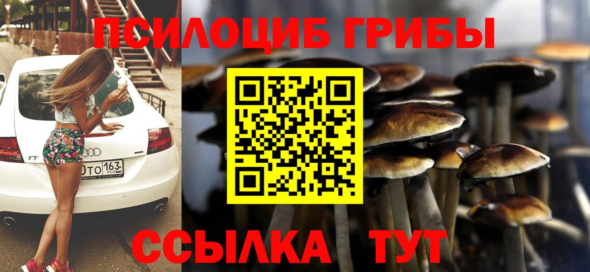 Рязань  Галлюциногенные грибы прущие грибы  Вход с VPN 